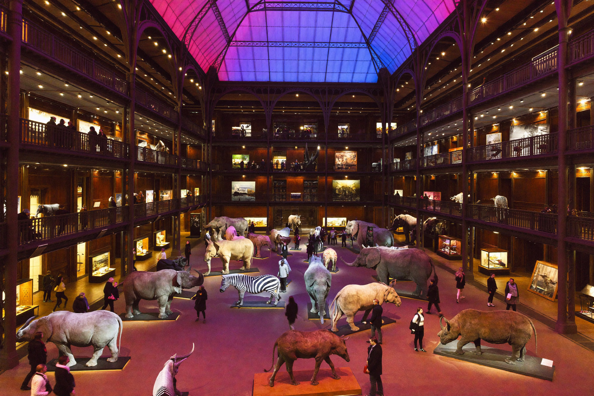 Murder Party au Musée (M6) : une vraie murder party ?